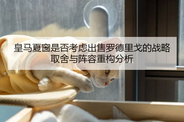 皇马夏窗是否考虑出售罗德里戈的战略取舍与阵容重构分析