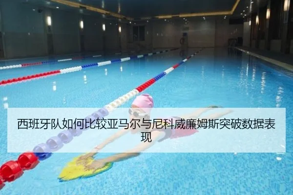 西班牙队如何比较亚马尔与尼科威廉姆斯突破数据表现